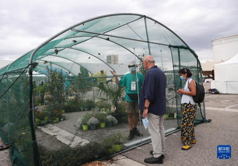 1630892557370026272.jpg 1.jpg