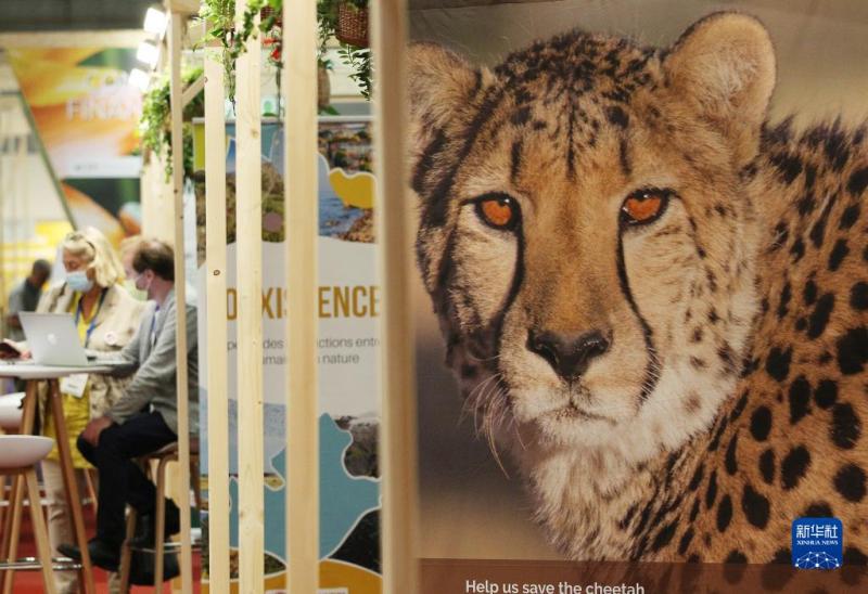 1630892686464001211.jpg 2.jpg