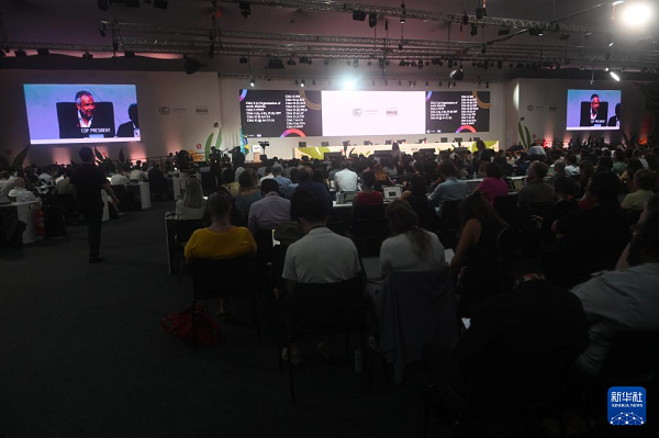 1763978913331087854.jpeg 111111.jpeg